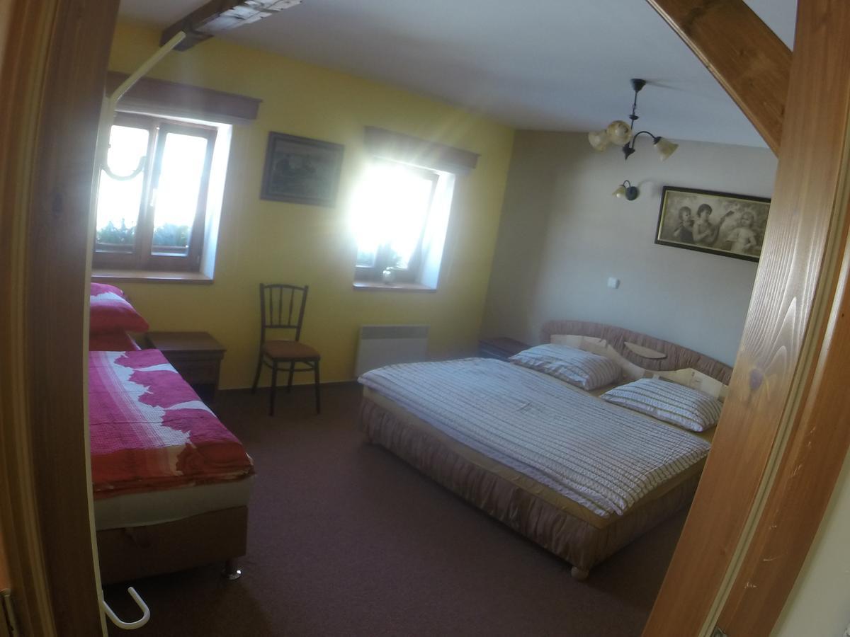 Apartment U Videmanu Poniklá Extérieur photo